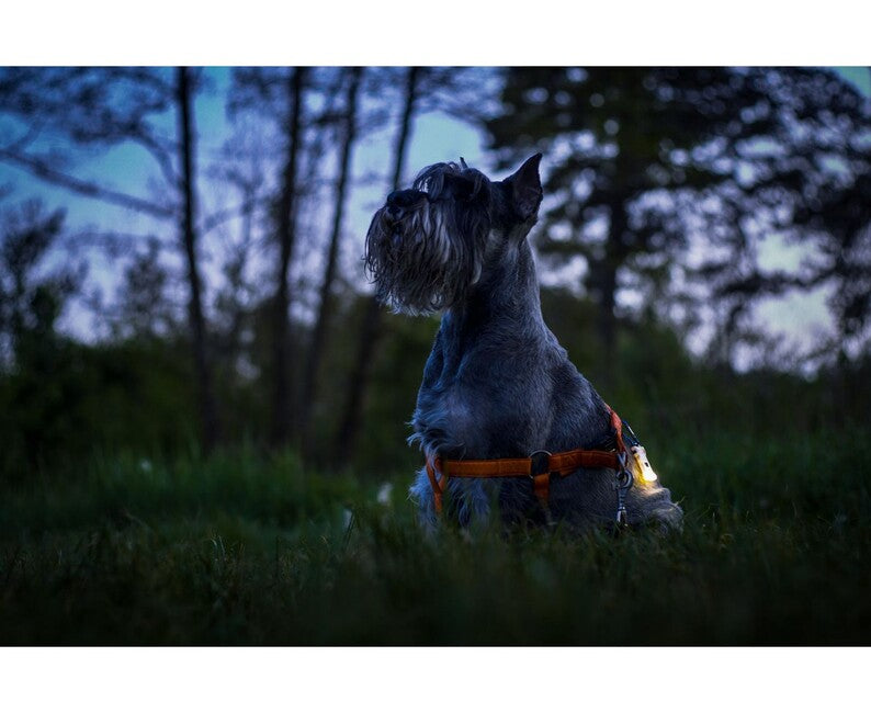ArmyTek Zippy ES Led-taschenlampe und Schlüsselbund-Set, grün