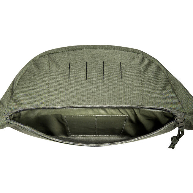 Tasmanian Tiger Modular Hip Bag 2, oliv