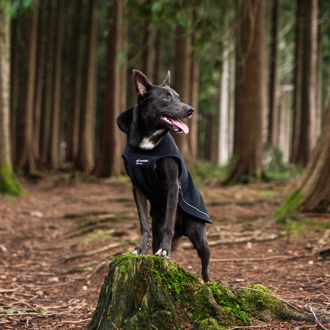 Mountain Paws klein Hundeumhang