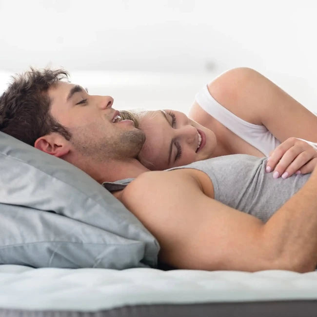 InTex Queen Premaire I aufblasbares Bett