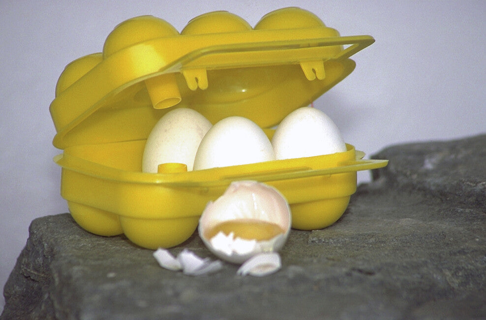 Coghlans CL eierbehälter 6 eier