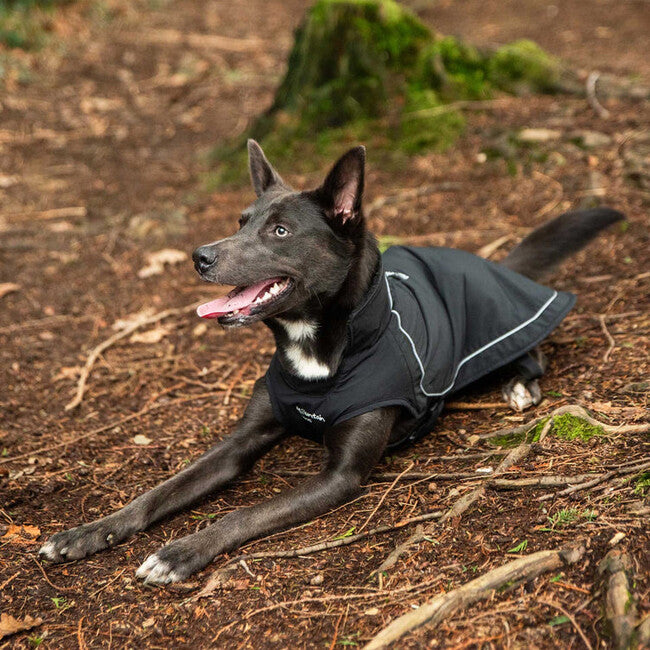 Mountain Paws klein Hundeumhang