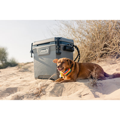 Coleman Convoy Cooler 28qt 29L