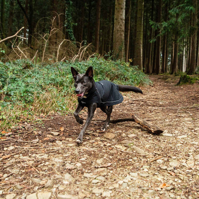 Mountain Paws groß Hundeumhang