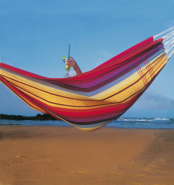 Amazonas Barbados Brasilianisch hojdacia Netz Regenbogen