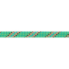 Beal Tiger Dynamic kletterseil 10 mm 80 m, grün