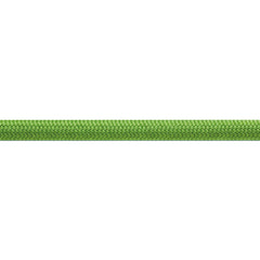 Beal Wall School Kletterseil 10,2 mm 50 m, grün