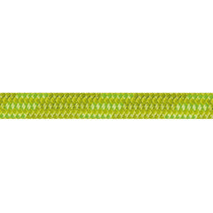 Beal Wall Cruiser Kletterseil 9,6 mm 20 m, grün