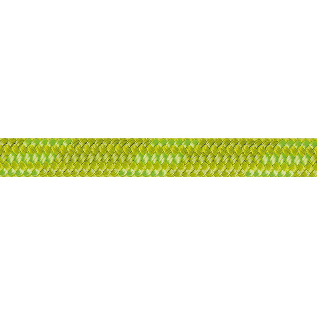 Beal Wall Cruiser Kletterseil unicore 9,6 mm 40 m, grün