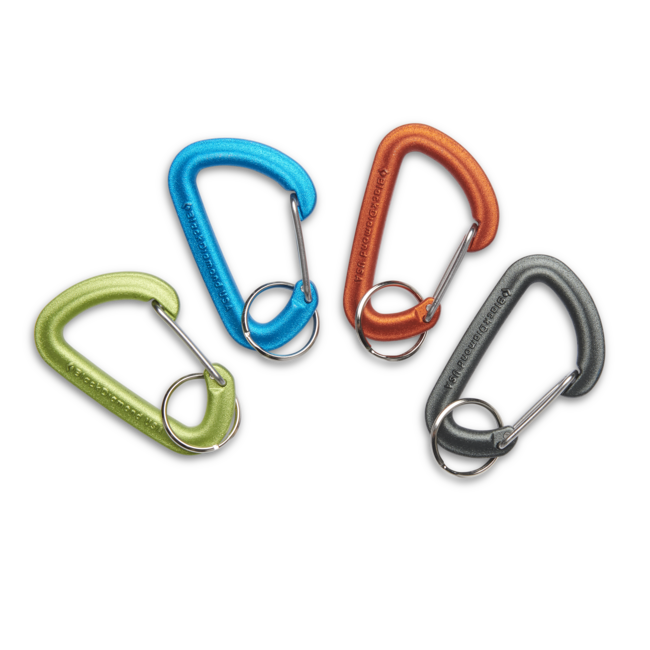 Black Diamond Micron small Schlüsselkarabiner