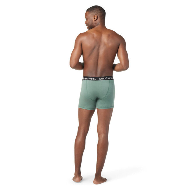 Smartwool M MERINO BOXER BRIEF BOXED herren Salbei