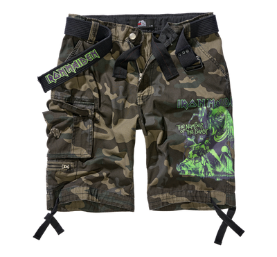 Lizenzierte Shorts für Herren
