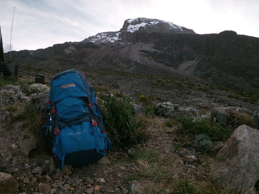 Pinguin Explorer 75 Nylon, 75 L, khaki