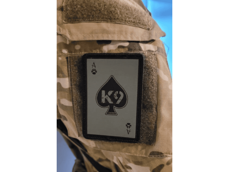 K9 Thorn PIK gewebter Aufnäher