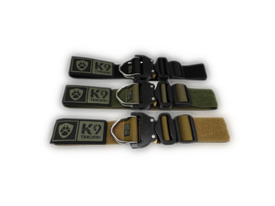 Dog Collars
