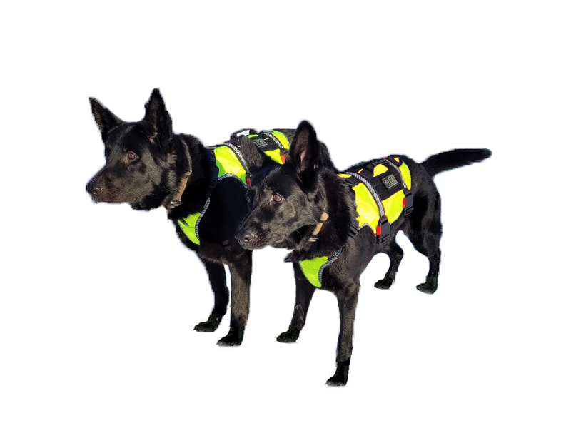 K9 Thorn ONE Geschirr reflektierend gelb L