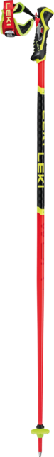 Skistöcke