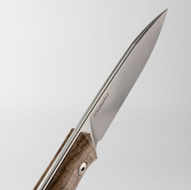 Lionsteel Sleipner B35 WN bushcraft mit fester klinge aus stahl messer