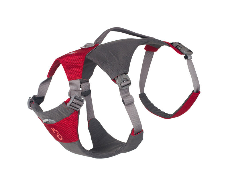 Mountain Paws Wandergeschirr für Hunde S