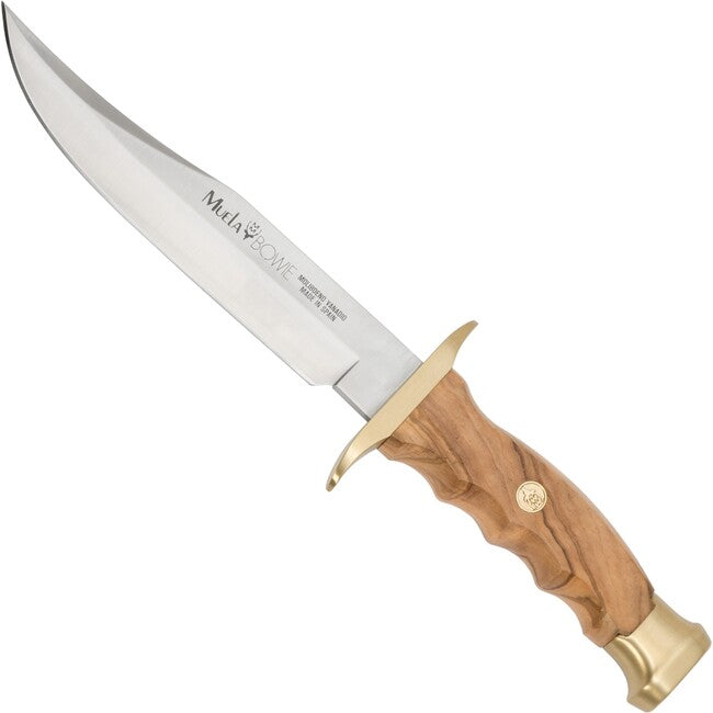 Muela Bowie feststehendes Messer Olive