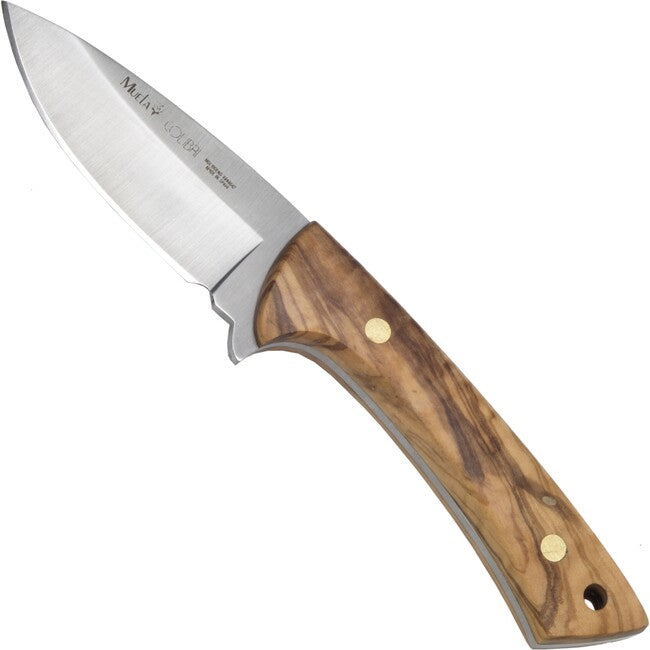 Muela Colibri feststehendes messer olivenholz