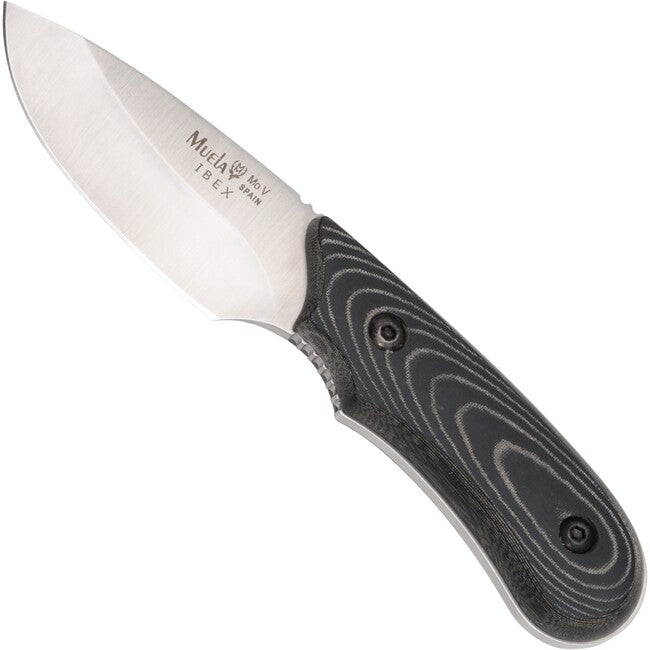 Muela Messer mit feststehender Klinge, schwLederscheide