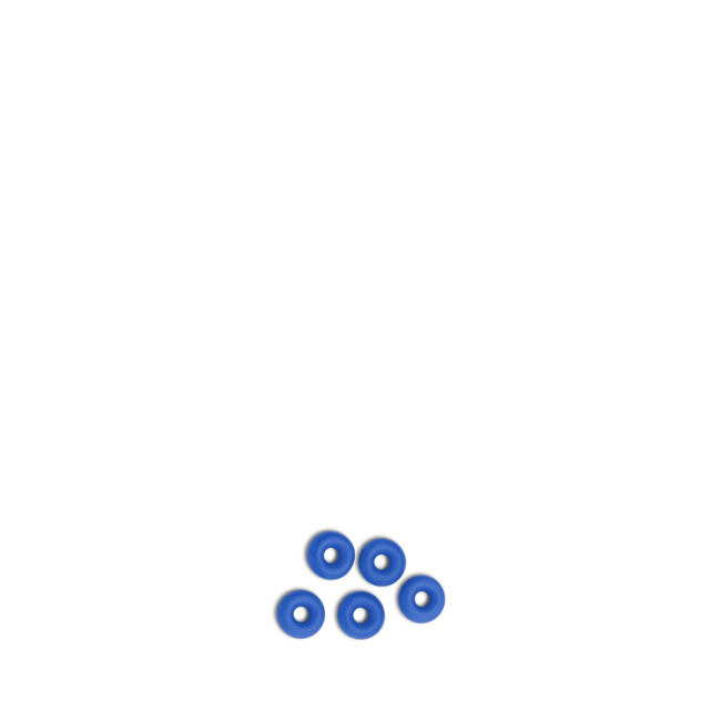 PRIMUS O-Ring für Rückschlagventil