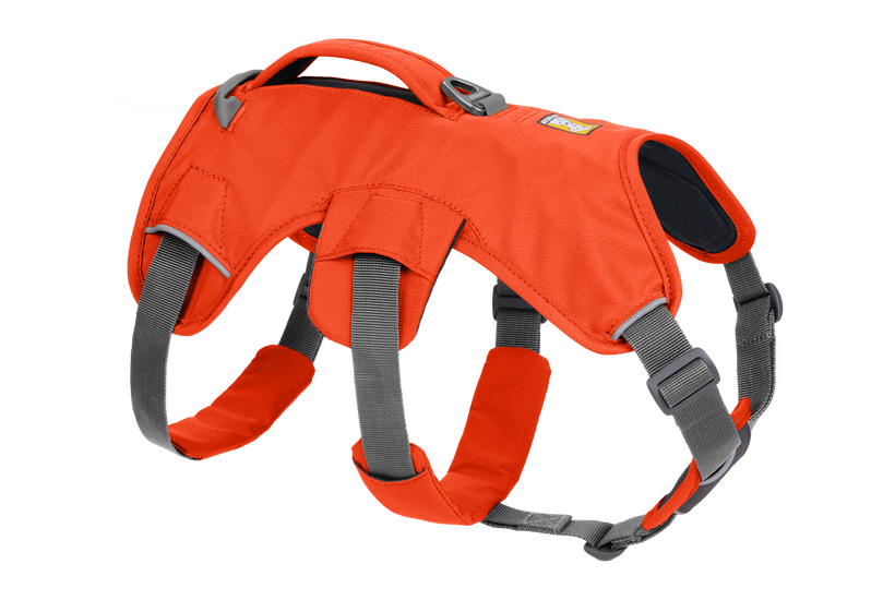 Ruffwear Harness Web Master, blaze orange