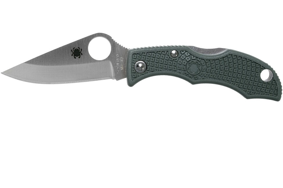 Spyderco Ladybug 3 Lightweight kleines taschenmesser 4,9 cm grün-grau FRN