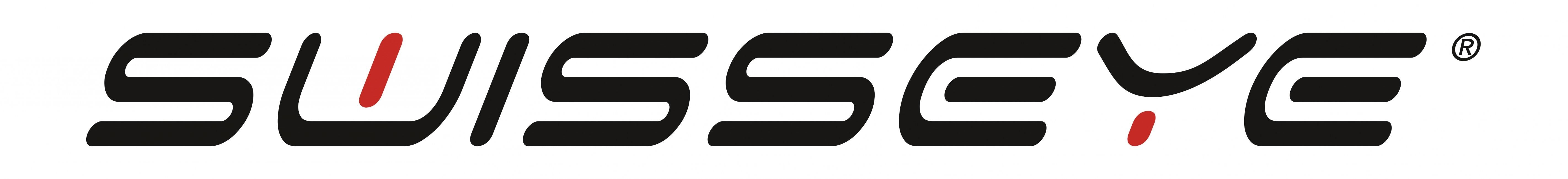 Swiss Eye® Lancer taktische Schutzbrille, schwarz