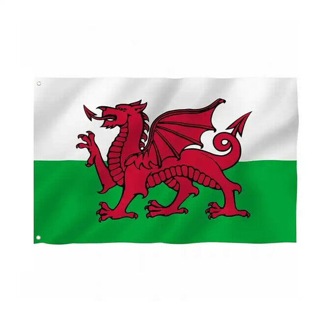 WARAGOD Flagge Wales 150x90 cm