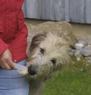 Origin Outdoors Squeeze tube Nachfüllbare Trainingsfuttermittel Für Hunde, 2 Stück 200 ml