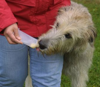 Origin Outdoors Squeeze tube Nachfüllbare Trainingsfuttermittel Für Hunde, 2 Stück 200 ml