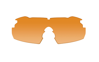 WILEY X VAPOR 2.5 Brille mit austauschbaren Gläsern, braun